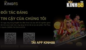 tải app kinh88